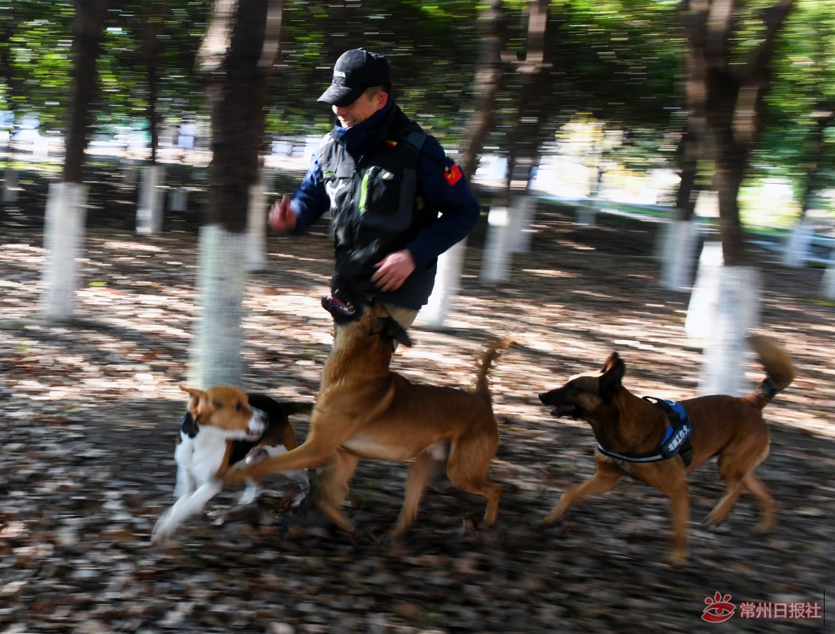 全省首批天然气嗅探工作犬来常州落户啦！