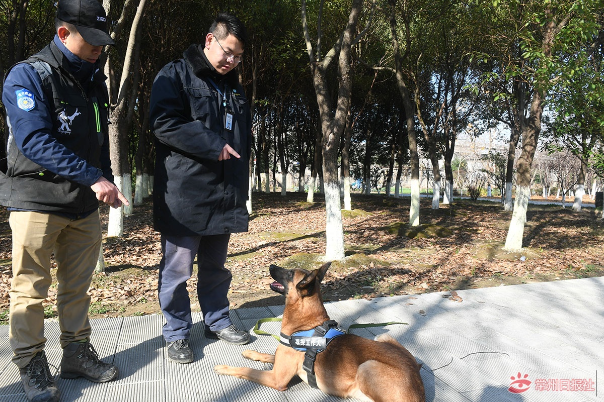 全省首批天然气嗅探工作犬来常州落户啦！