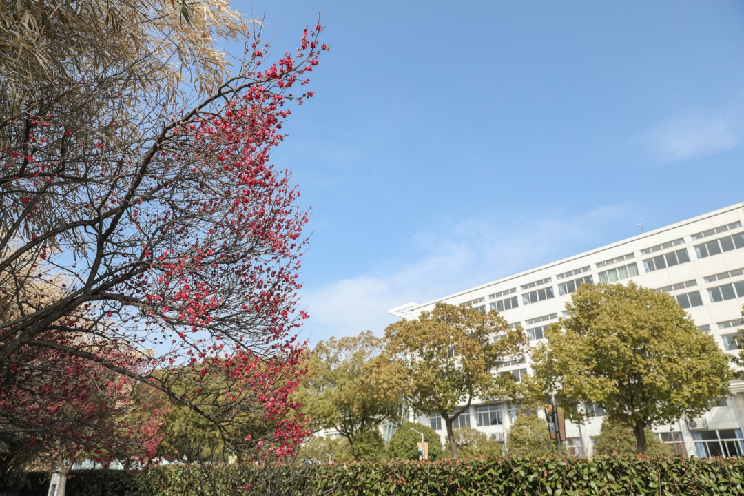 工程学院3.jpg