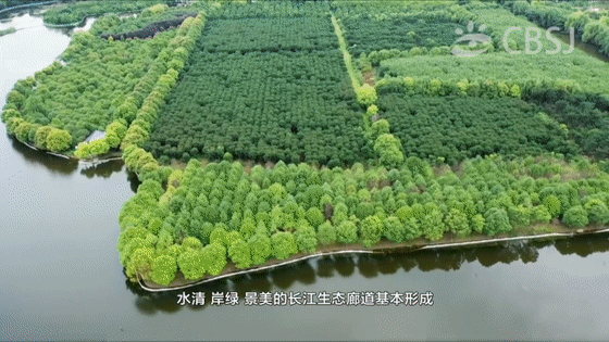 2021.01.07滨江经济开发区720_x264[00-03-30--00-03-35].gif