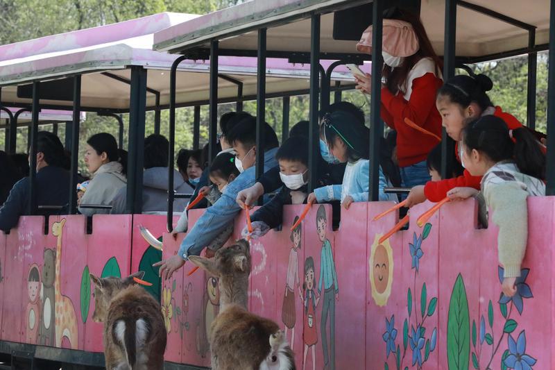 binary_middle (4).jpg